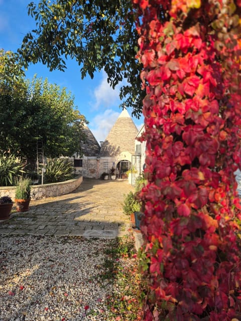 TRULLI ALLEGRETTI House in Province of Taranto