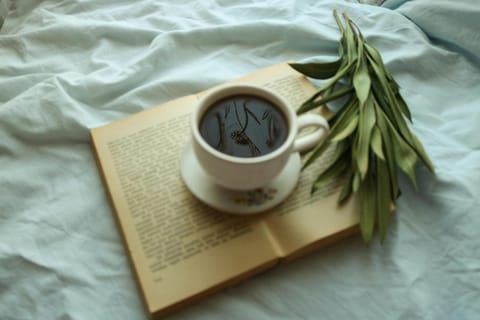 Loisirs travail, court, long séjour, idéalement situé, 2 chambres en enfilade, parking gratuit Apartment in Mulhouse