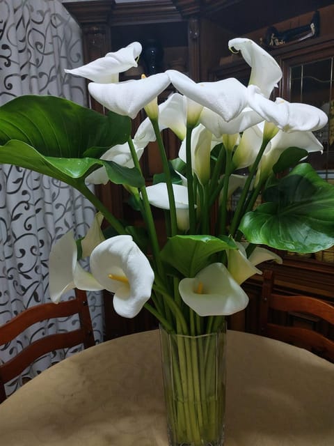 CASA Peppa Apartment in Olbia