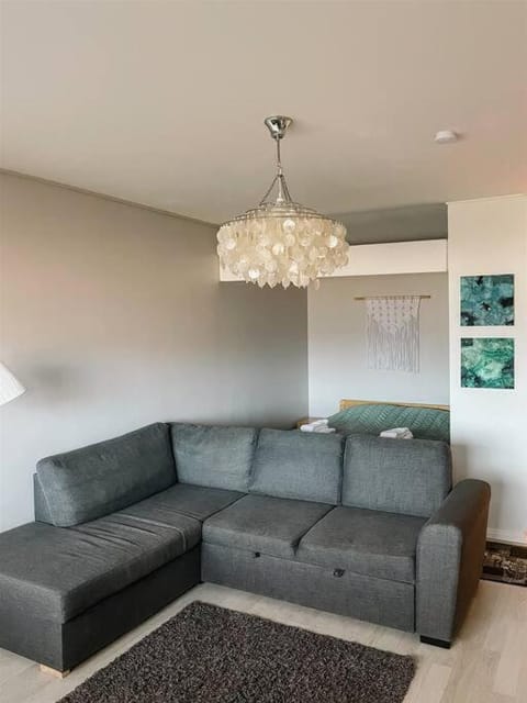 Viihtyisä yksiö lähellä palveluita. (Himos 7,9 km) Apartment in Finland