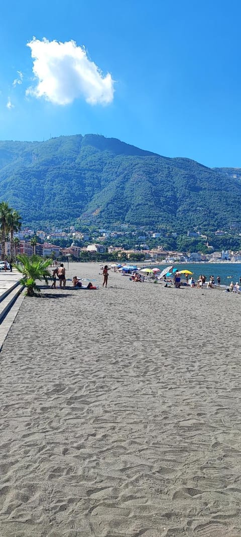 Nearby landmark, Natural landscape, Beach