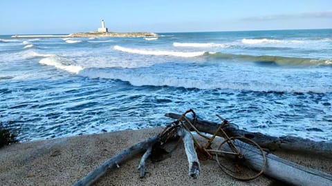 Medieval terraced house in Vieste Vecchia House in Vieste