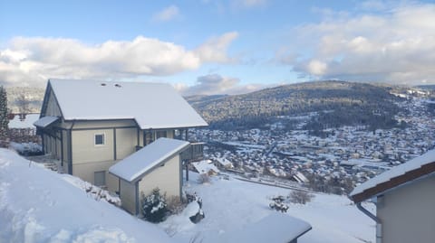 Property building, Day, Natural landscape, Winter, Mountain view