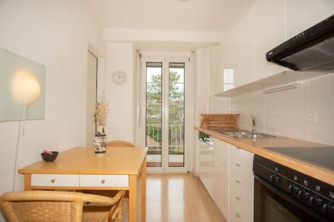 Spacious apartment next to park with free BaselCard Apartment in Basel