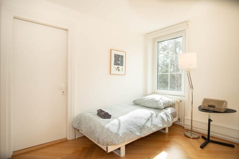 Spacious apartment next to park with free BaselCard Apartment in Basel