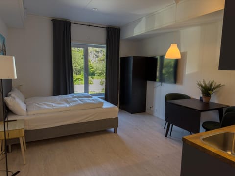 Bed, TV and multimedia, Dining area, wardrobe