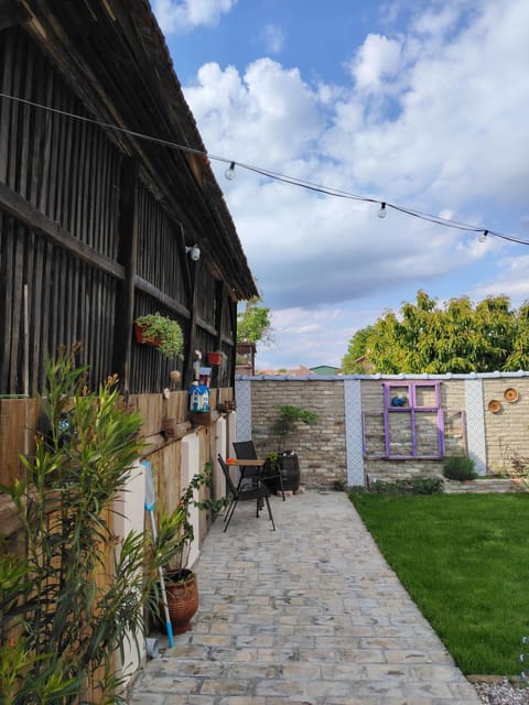 Patio, Day, Garden, Garden view