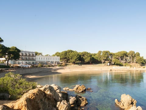 Natural landscape, Beach, Location