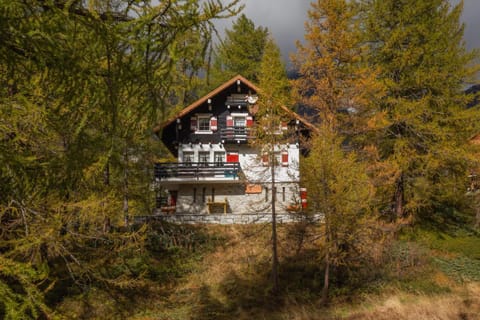 Property building, Autumn