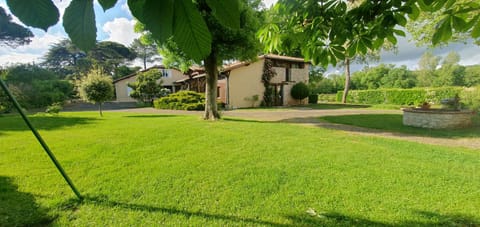 Property building, Natural landscape, Garden, Garden view