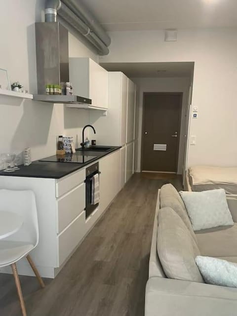 Yksiö loistavalla sijainnilla sekä yhteyksillä Apartment in Uusimaa