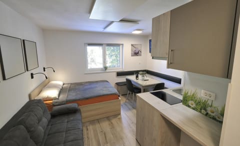 Bed, Kitchen or kitchenette, Photo of the whole room, Seating area, Bedroom