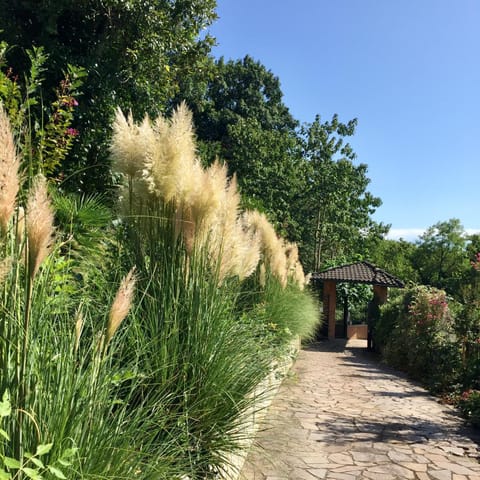 Day, Natural landscape, Garden, Garden view