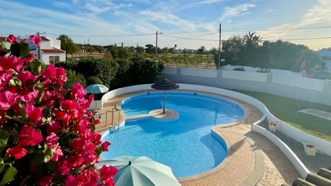 Day, Natural landscape, Pool view, Swimming pool