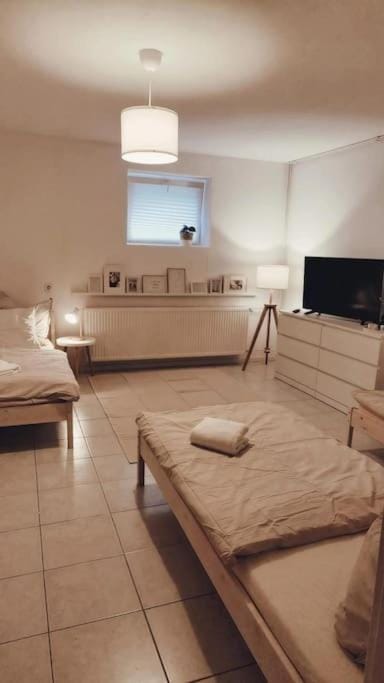 Bed, TV and multimedia, Photo of the whole room, Bedroom, towels