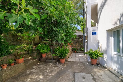 Patio, Facade/entrance