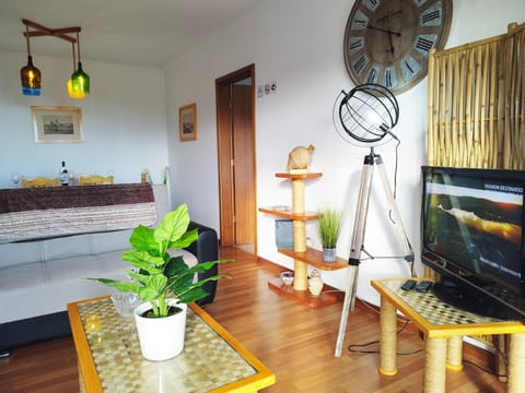 Communal lounge/ TV room, TV and multimedia, Living room