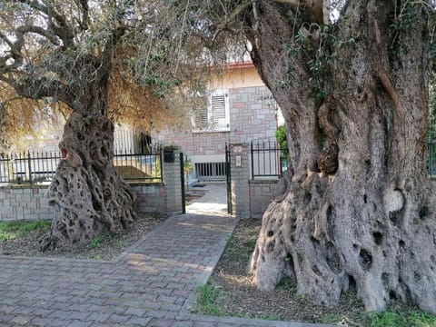 Garden, Garden view