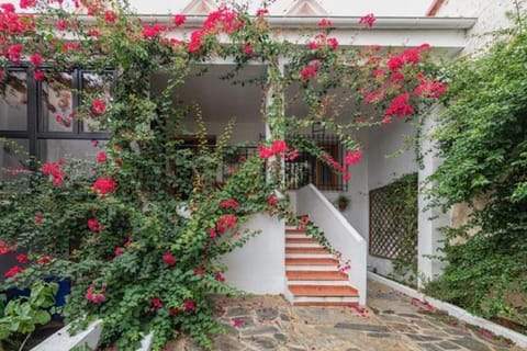 Garden, Balcony/Terrace