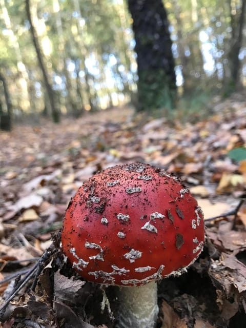 Les Délices de la Vie House in Normandy