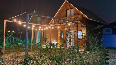 Property building, Night, Garden, Garden view