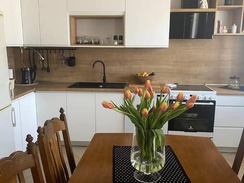 Apartman Milka Apartment in Dubrovnik-Neretva County