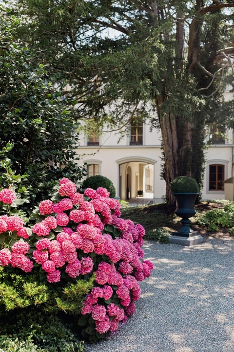 Château de l'Aile- Boutique Suites Bed and Breakfast in Montreux