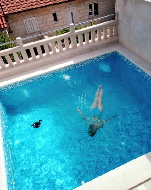 Pool view, Swimming pool, group of guests