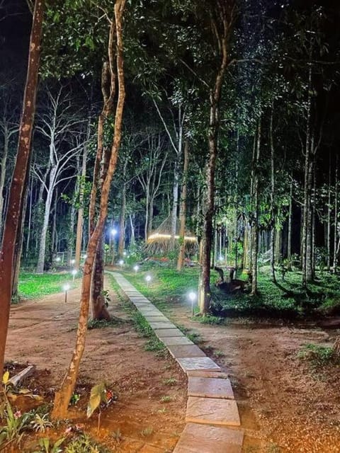 Night, Natural landscape, Garden view