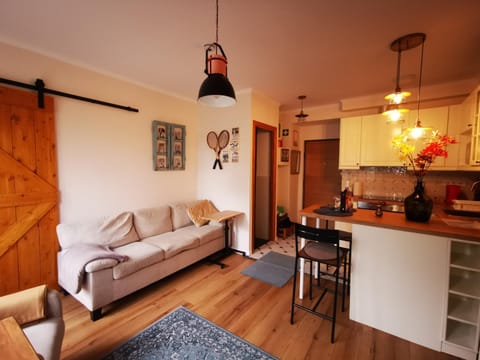 Living room, kitchen