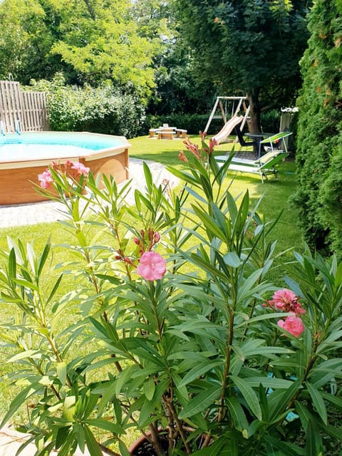 Garden, Pool view, Swimming pool, sunbed