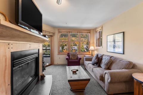 Day, TV and multimedia, Living room, Seating area, Mountain view, fireplace, furniture