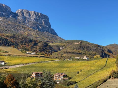 Natural landscape, Autumn, Mountain view