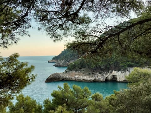 B&B Casa Desimio Bed and Breakfast in Vieste