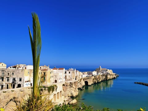 B&B Casa Desimio Bed and Breakfast in Vieste