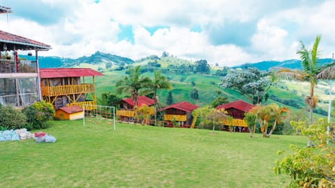 Garden view