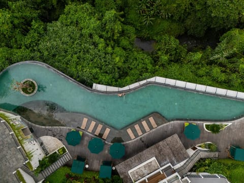 Natural landscape, Bird's eye view, View (from property/room), Swimming pool