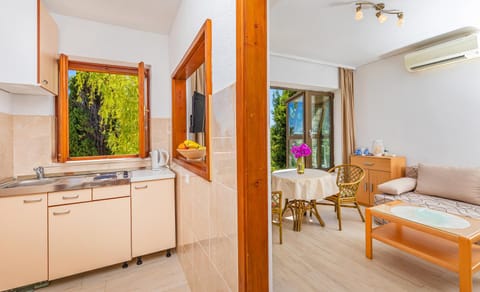 Kitchen or kitchenette, Living room, Seating area, Dining area