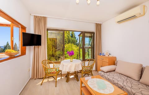 TV and multimedia, Living room, Seating area, air conditioner