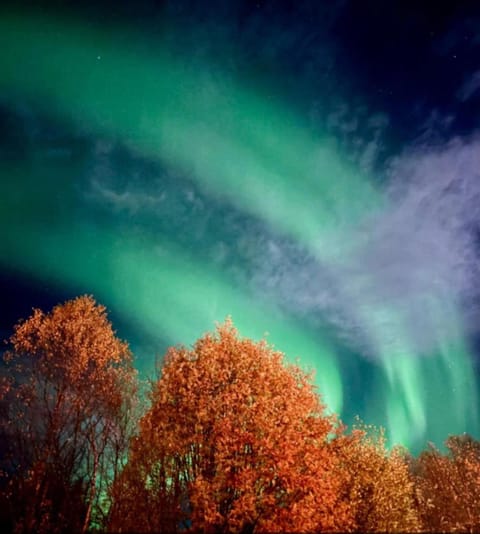 Apartment, 4km fra Tromsøsentrum. flyplass 1.71km. Apartment in Tromso