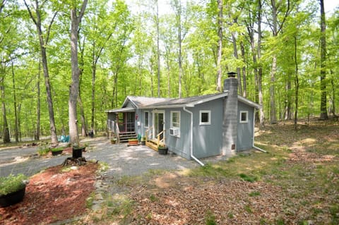 Property building, Day, Natural landscape