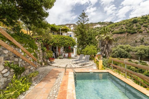 Natural landscape, Garden, Swimming pool