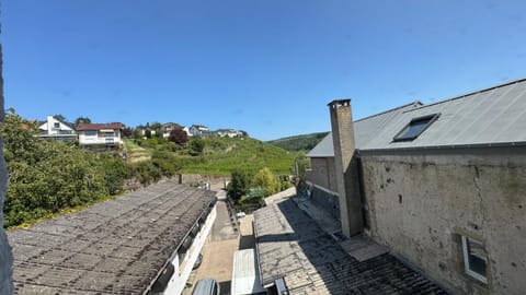 hotel whiteswan Hotel in Trier-Saarburg