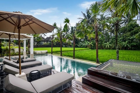 Natural landscape, Garden, Garden view, Pool view, Swimming pool, internet, sunbed