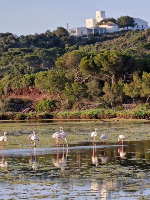 Property building, Natural landscape, Animals, Lake view