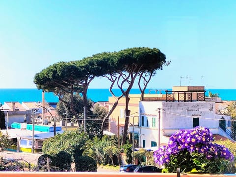 Nearby landmark, Spring, Day, Natural landscape, Beach, Sea view