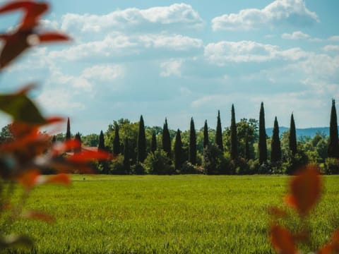 Dolce Casa 1 by Tiny Away House in Arezzo