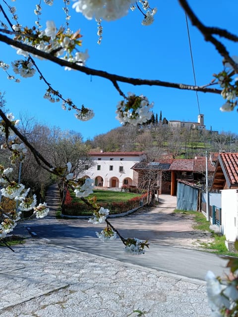 Property building, Natural landscape