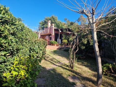 Property building, Spring, Garden, Garden view
