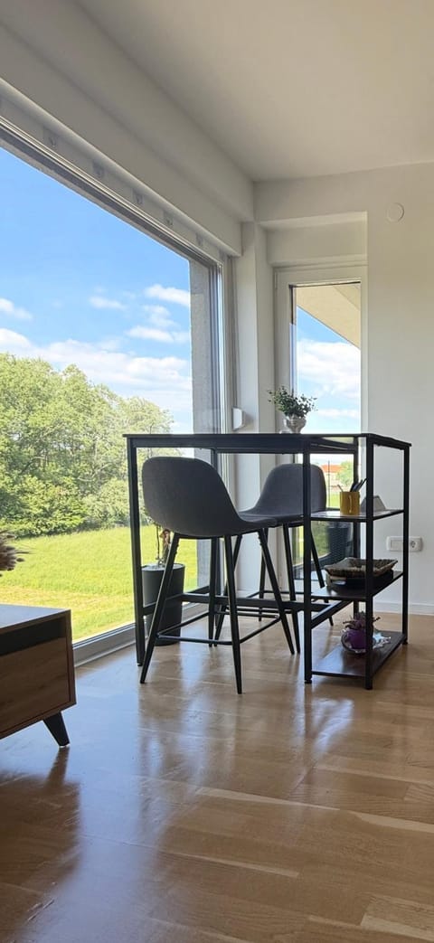 Kitchen or kitchenette, Dining area, minibar, pet friendly